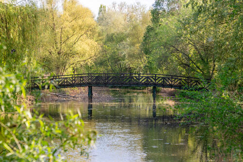 Bridge over lake